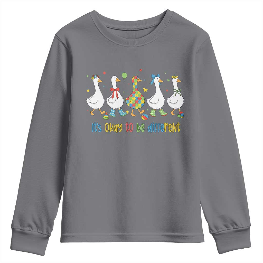 Funny Autistic Goose Youth Sweatshirt It Is Okay To Be Different Autism Awareness