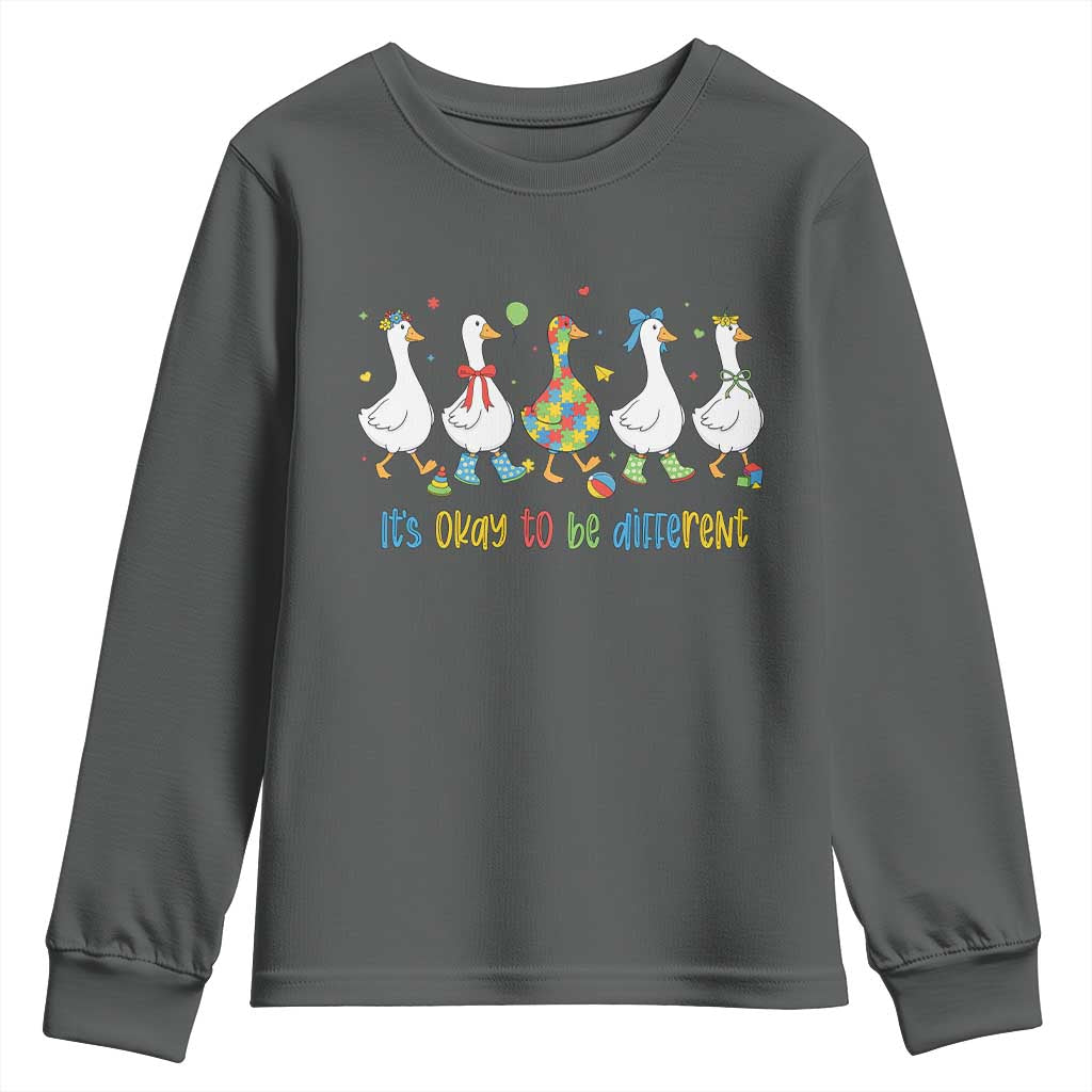 Funny Autistic Goose Youth Sweatshirt It Is Okay To Be Different Autism Awareness
