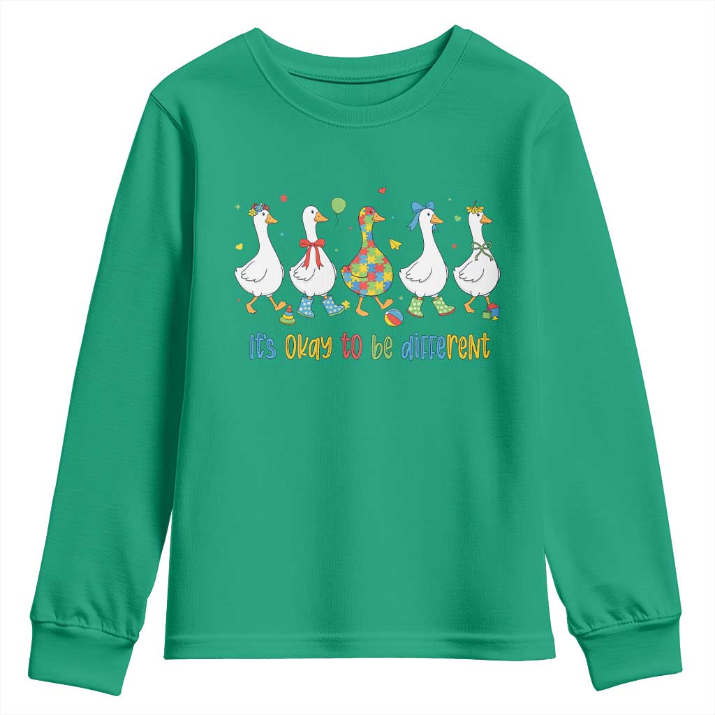 Funny Autistic Goose Youth Sweatshirt It Is Okay To Be Different Autism Awareness