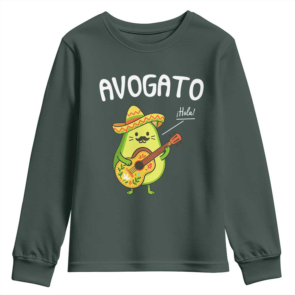Funny Avocado Cat Avogato Youth Sweatshirt Cinco De Mayo Mexican