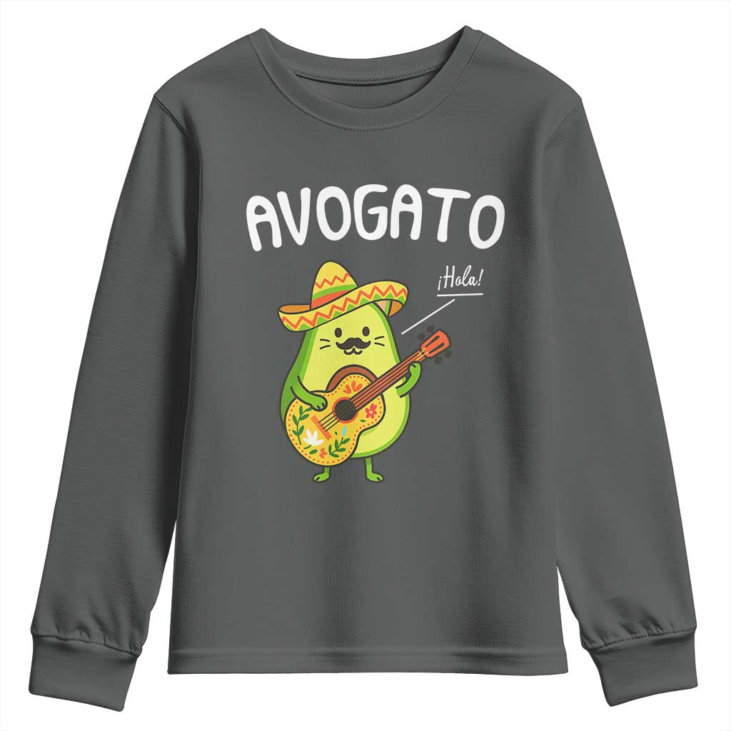 Funny Avocado Cat Avogato Youth Sweatshirt Cinco De Mayo Mexican