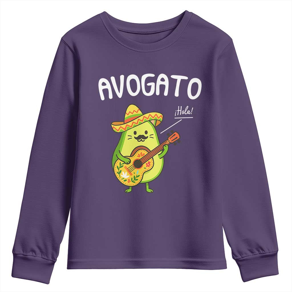 Funny Avocado Cat Avogato Youth Sweatshirt Cinco De Mayo Mexican
