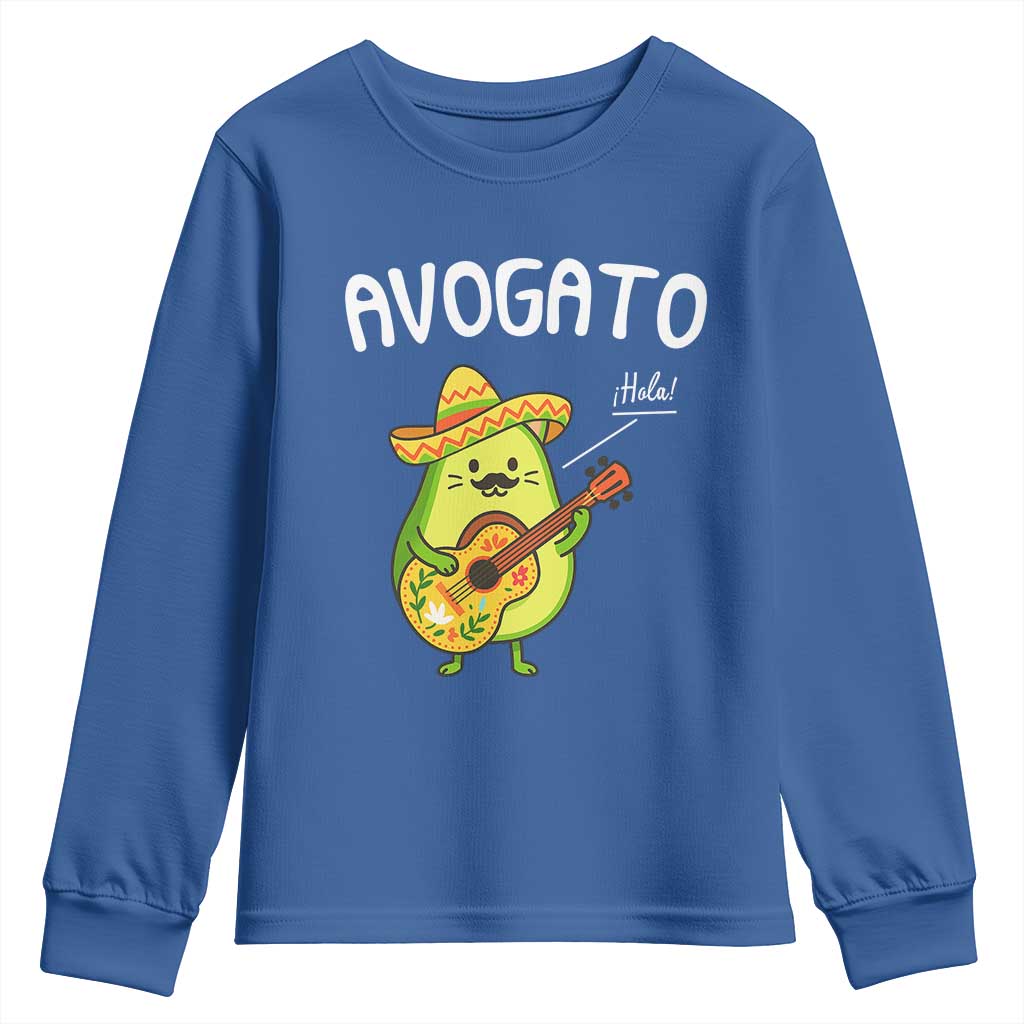 Funny Avocado Cat Avogato Youth Sweatshirt Cinco De Mayo Mexican