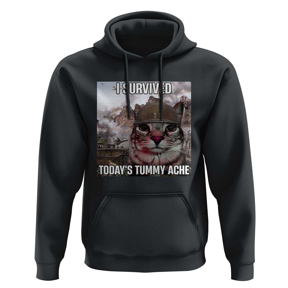 Funny I Survived Todays Tummy Ache Hoodie War Cat Meme - Wonder Print Shop