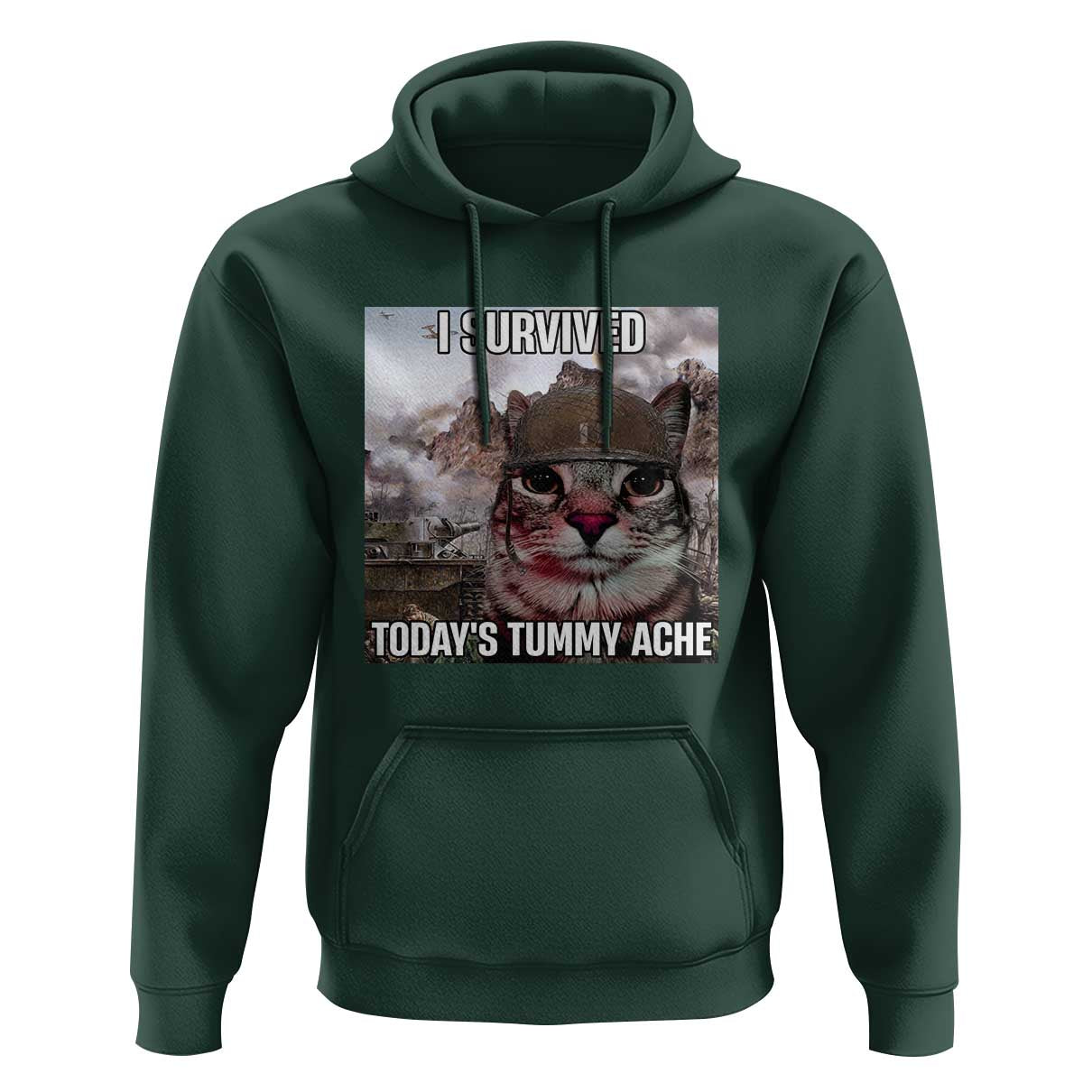 Funny I Survived Todays Tummy Ache Hoodie War Cat Meme - Wonder Print Shop
