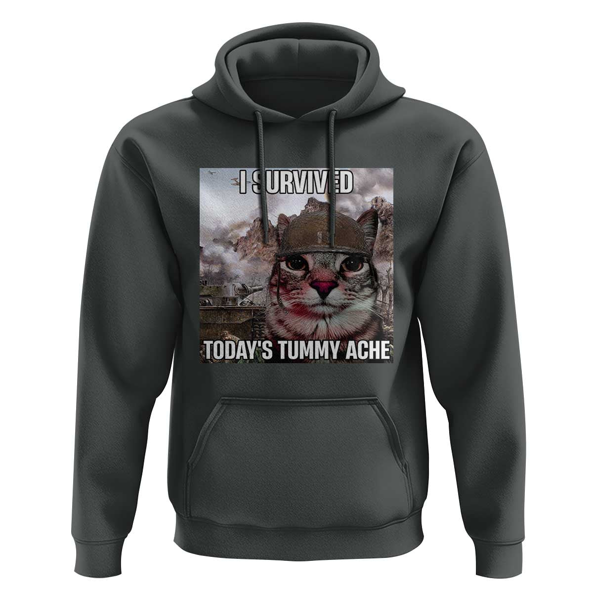 Funny I Survived Todays Tummy Ache Hoodie War Cat Meme - Wonder Print Shop