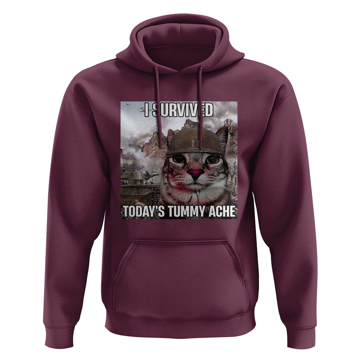 Funny I Survived Todays Tummy Ache Hoodie War Cat Meme - Wonder Print Shop
