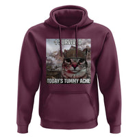 Funny I Survived Todays Tummy Ache Hoodie War Cat Meme - Wonder Print Shop