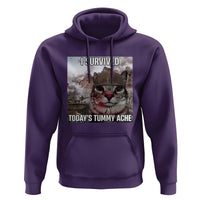 Funny I Survived Todays Tummy Ache Hoodie War Cat Meme - Wonder Print Shop