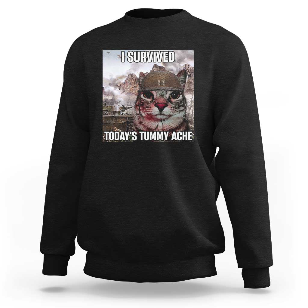 Funny I Survived Todays Tummy Ache Sweatshirt War Cat Meme - Wonder Print Shop