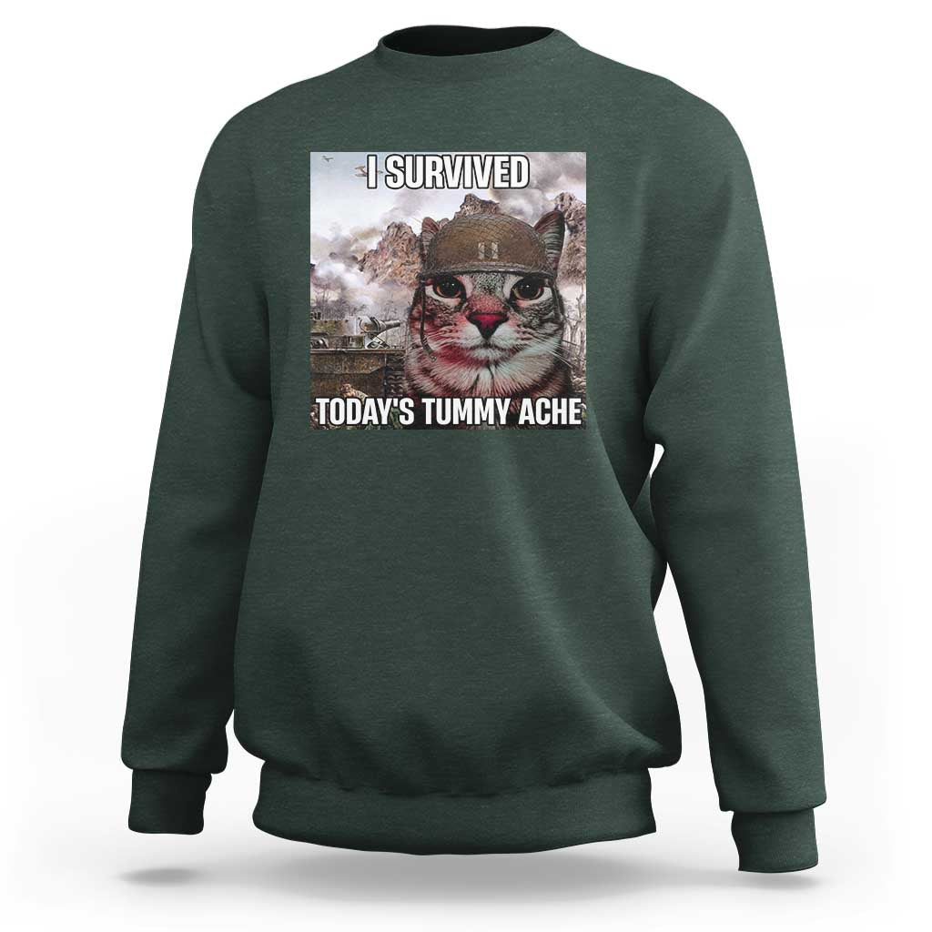 Funny I Survived Todays Tummy Ache Sweatshirt War Cat Meme - Wonder Print Shop