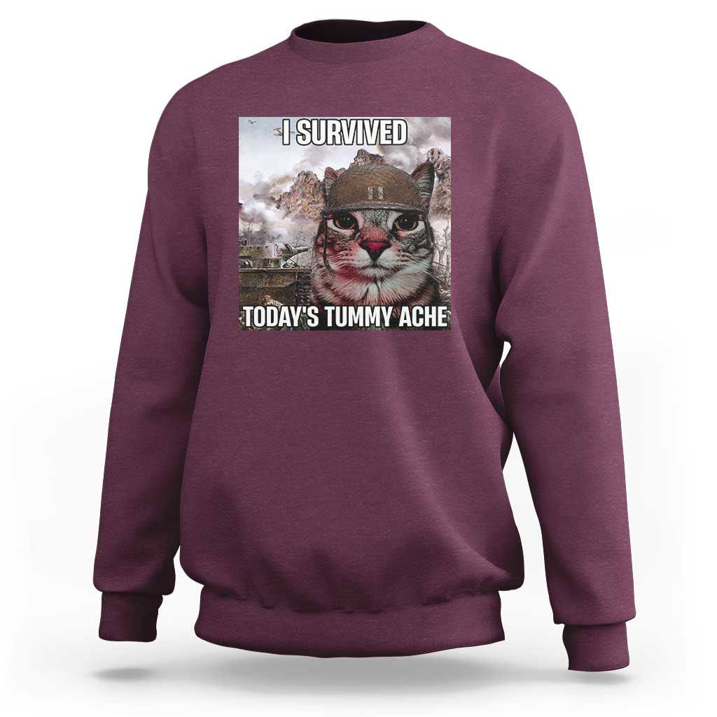 Funny I Survived Todays Tummy Ache Sweatshirt War Cat Meme - Wonder Print Shop