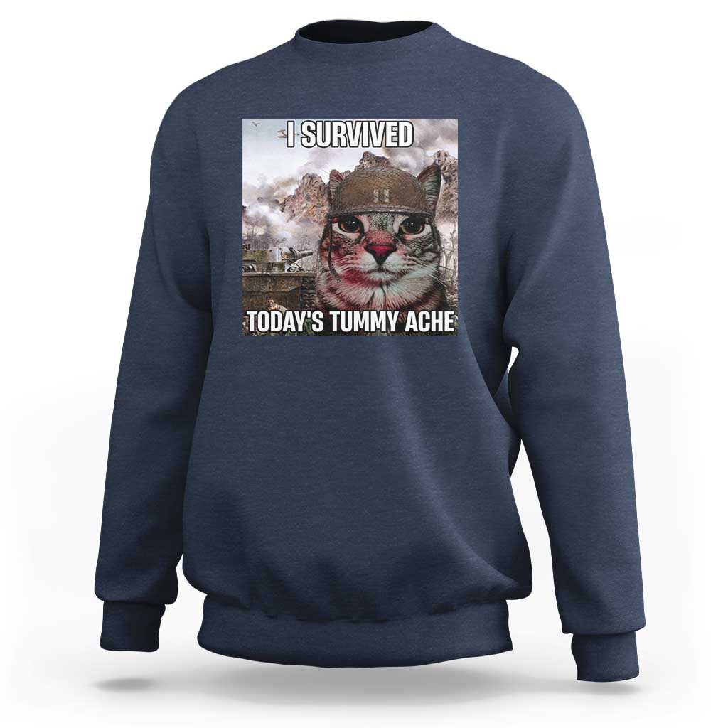 Funny I Survived Todays Tummy Ache Sweatshirt War Cat Meme - Wonder Print Shop