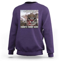 Funny I Survived Todays Tummy Ache Sweatshirt War Cat Meme - Wonder Print Shop