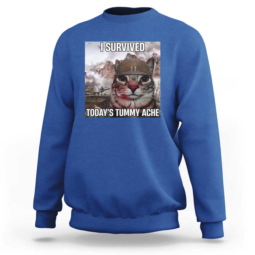 Funny I Survived Todays Tummy Ache Sweatshirt War Cat Meme - Wonder Print Shop