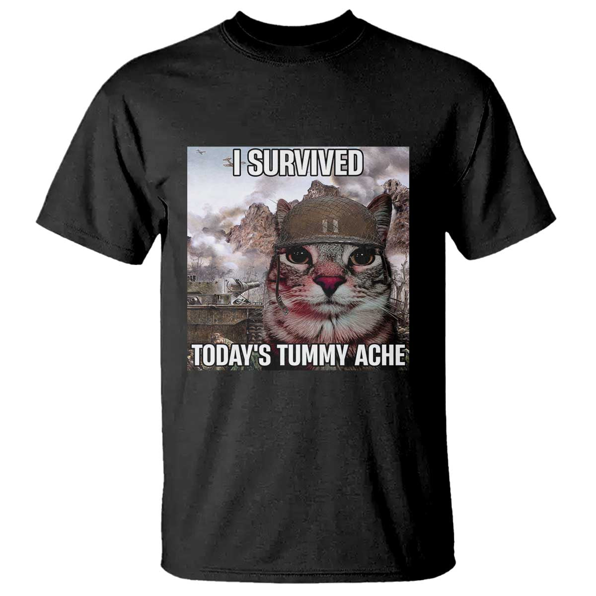 Funny I Survived Todays Tummy Ache T Shirt War Cat Meme - Wonder Print Shop