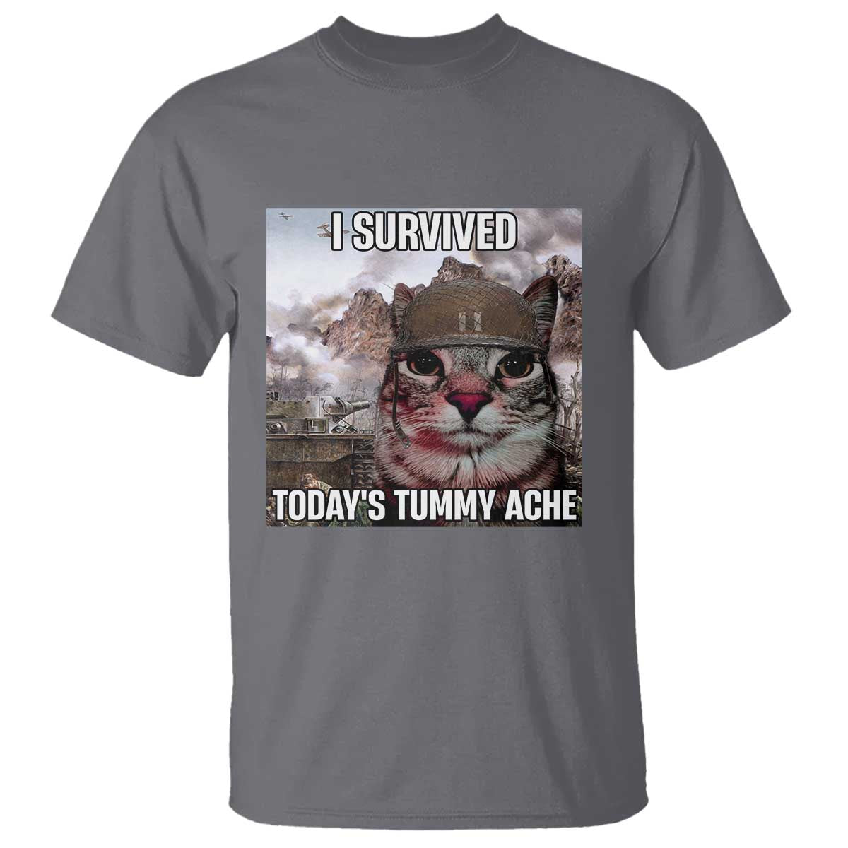 Funny I Survived Todays Tummy Ache T Shirt War Cat Meme - Wonder Print Shop
