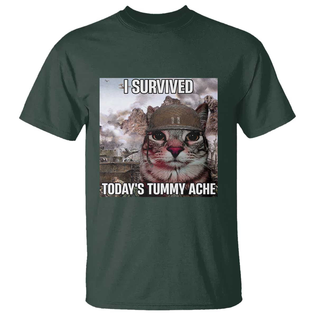 Funny I Survived Todays Tummy Ache T Shirt War Cat Meme - Wonder Print Shop