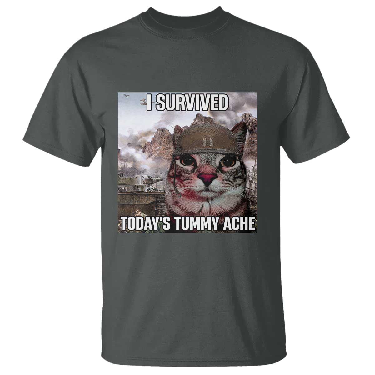 Funny I Survived Todays Tummy Ache T Shirt War Cat Meme - Wonder Print Shop
