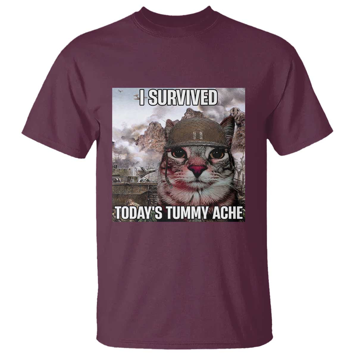 Funny I Survived Todays Tummy Ache T Shirt War Cat Meme - Wonder Print Shop