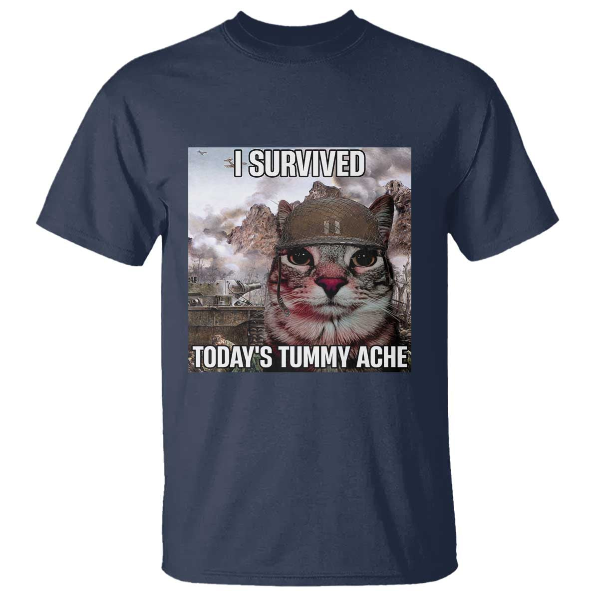 Funny I Survived Todays Tummy Ache T Shirt War Cat Meme - Wonder Print Shop