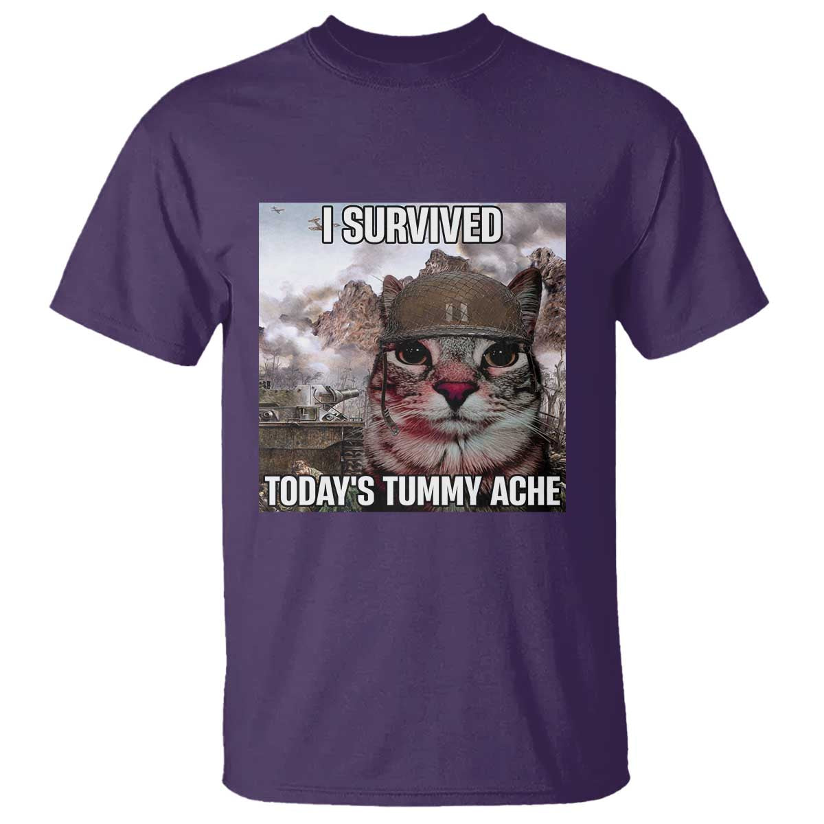Funny I Survived Todays Tummy Ache T Shirt War Cat Meme - Wonder Print Shop