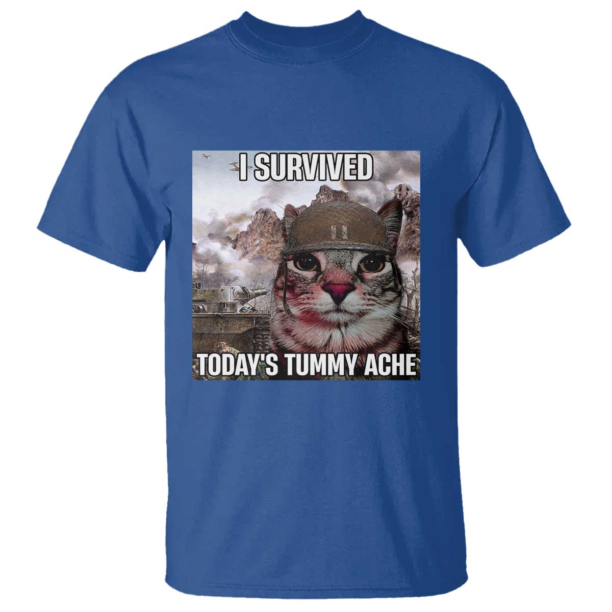 Funny I Survived Todays Tummy Ache T Shirt War Cat Meme - Wonder Print Shop