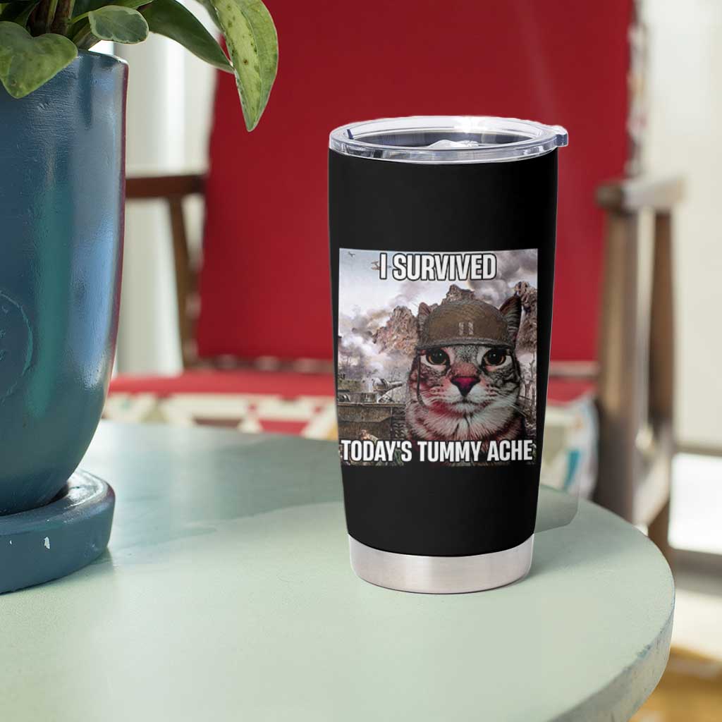 Funny I Survived Todays Tummy Ache Tumbler Cup War Cat Meme - Wonder Print Shop