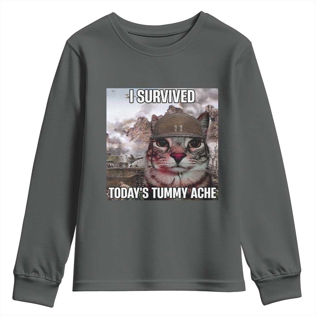 Funny I Survived Todays Tummy Ache Youth Sweatshirt War Cat Meme - Wonder Print Shop