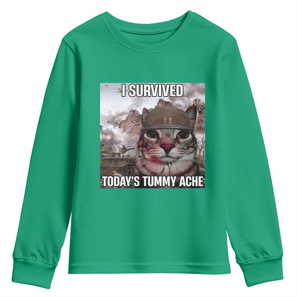 Funny I Survived Todays Tummy Ache Youth Sweatshirt War Cat Meme - Wonder Print Shop