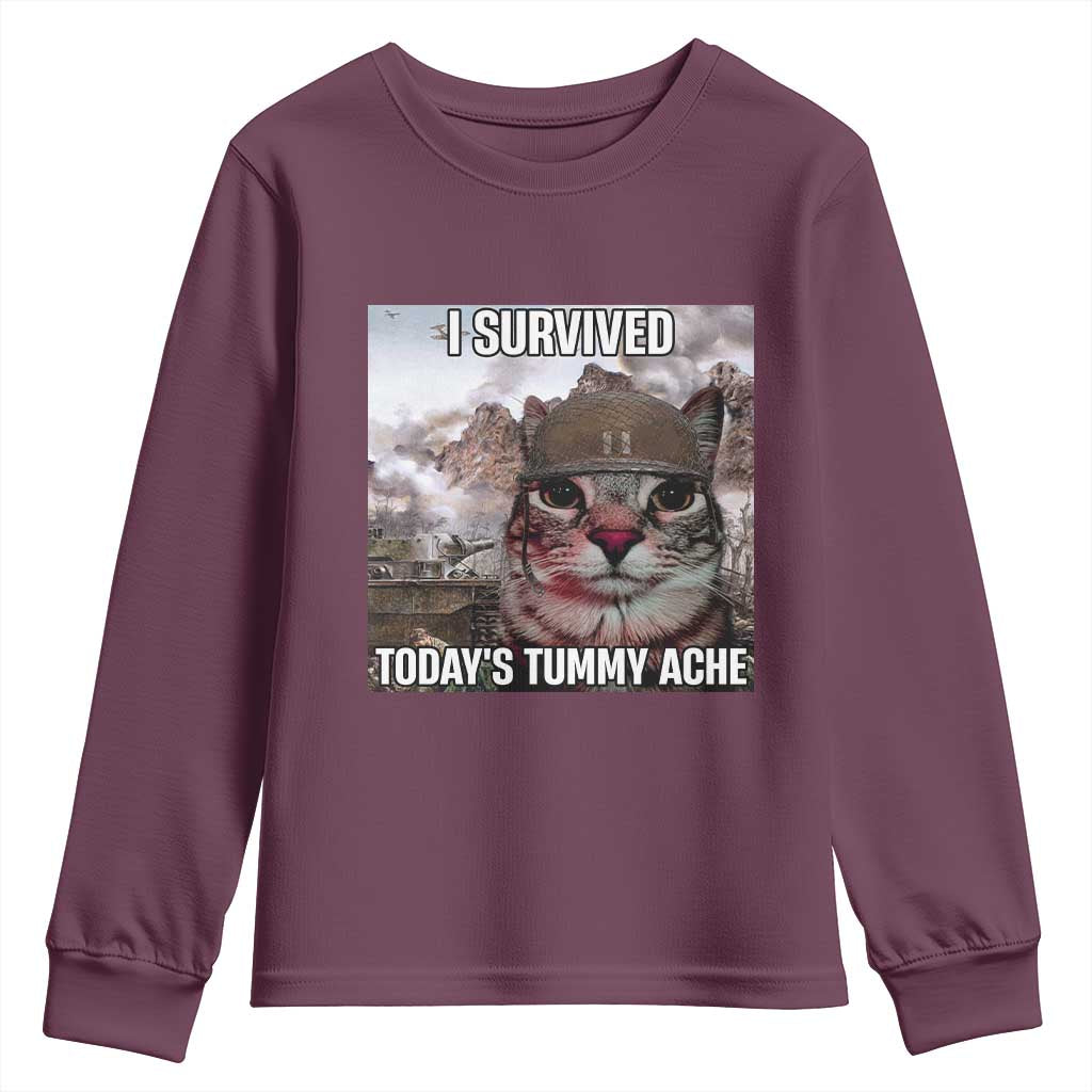 Funny I Survived Todays Tummy Ache Youth Sweatshirt War Cat Meme - Wonder Print Shop