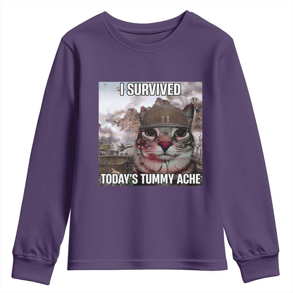 Funny I Survived Todays Tummy Ache Youth Sweatshirt War Cat Meme - Wonder Print Shop
