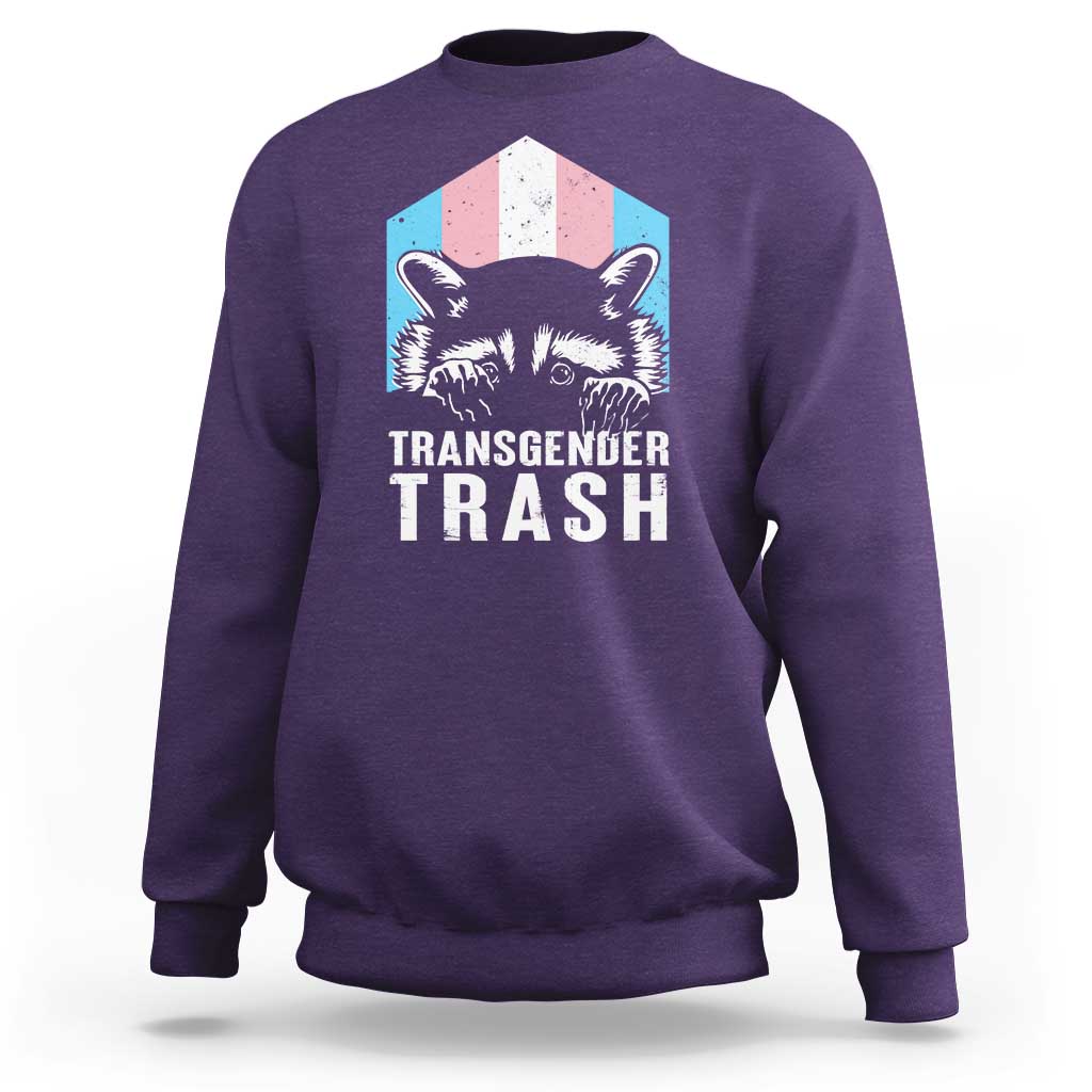Transgender Trash Raccoon Sweatshirt LGBT Vintage Rainbow Flag Pride Month - Wonder Print Shop