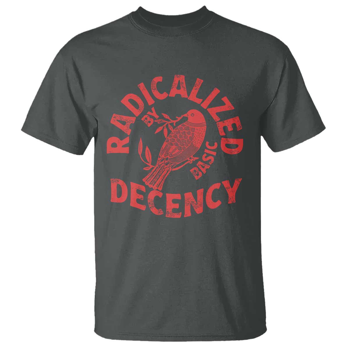Radicalized By Basic Decency T Shirt Feminist Activist - Wonder Print Shop