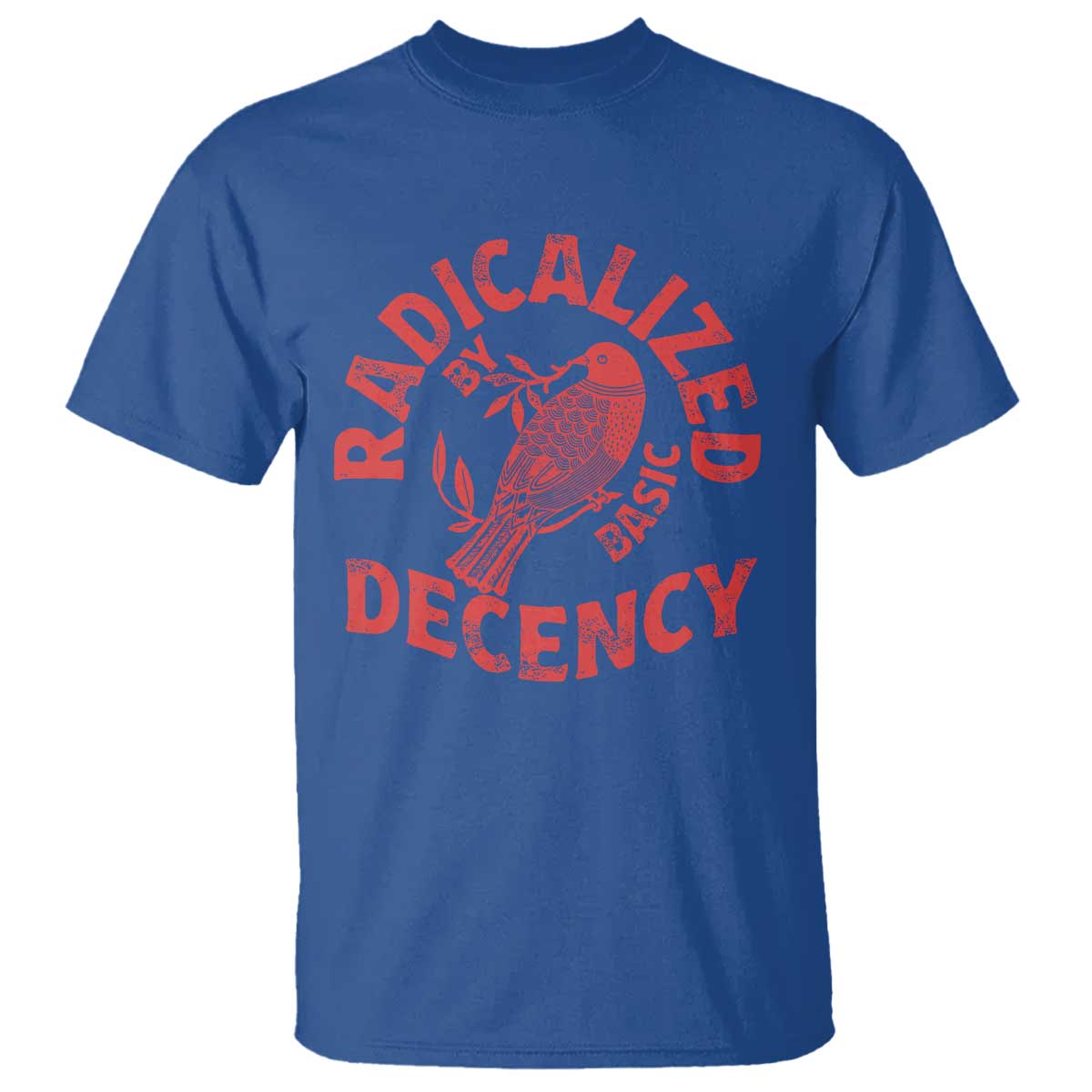 Radicalized By Basic Decency T Shirt Feminist Activist - Wonder Print Shop