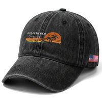 Gulf Of Mexico Forever Washed Cotton Baseball Cap Beach Palm Treen Vintage Retro