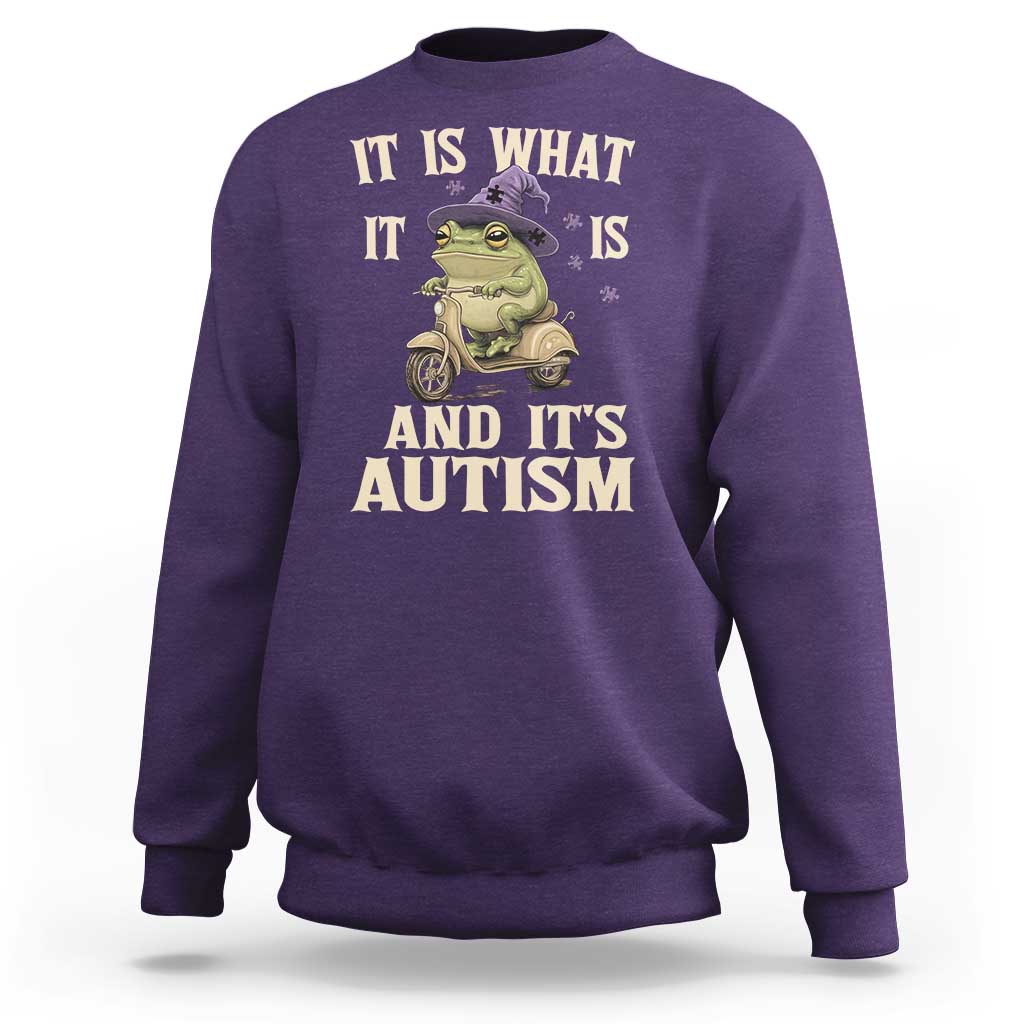 Funny It Is What It Is And It's Autism Sweatshirt Meme Autism Awareness Frog