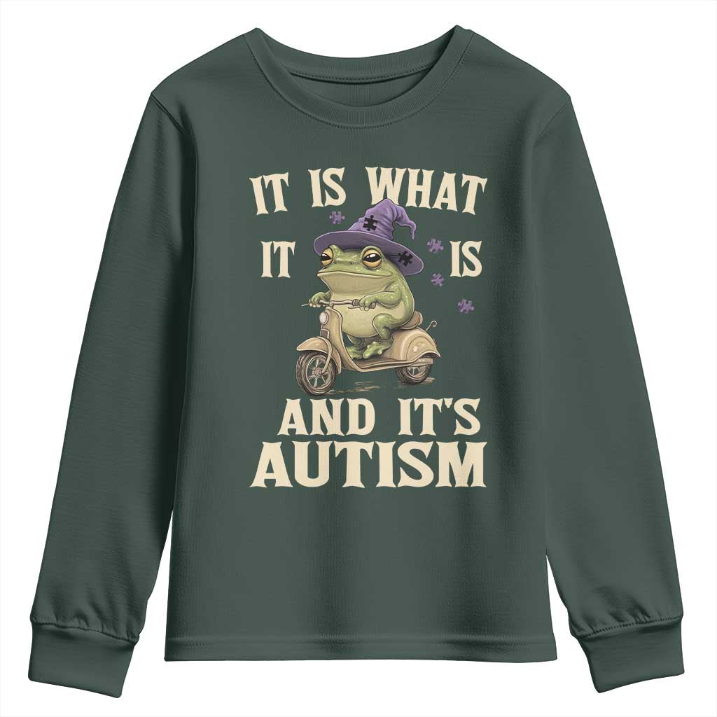 Funny It Is What It Is And It's Autism Youth Sweatshirt Meme Autism Awareness Frog