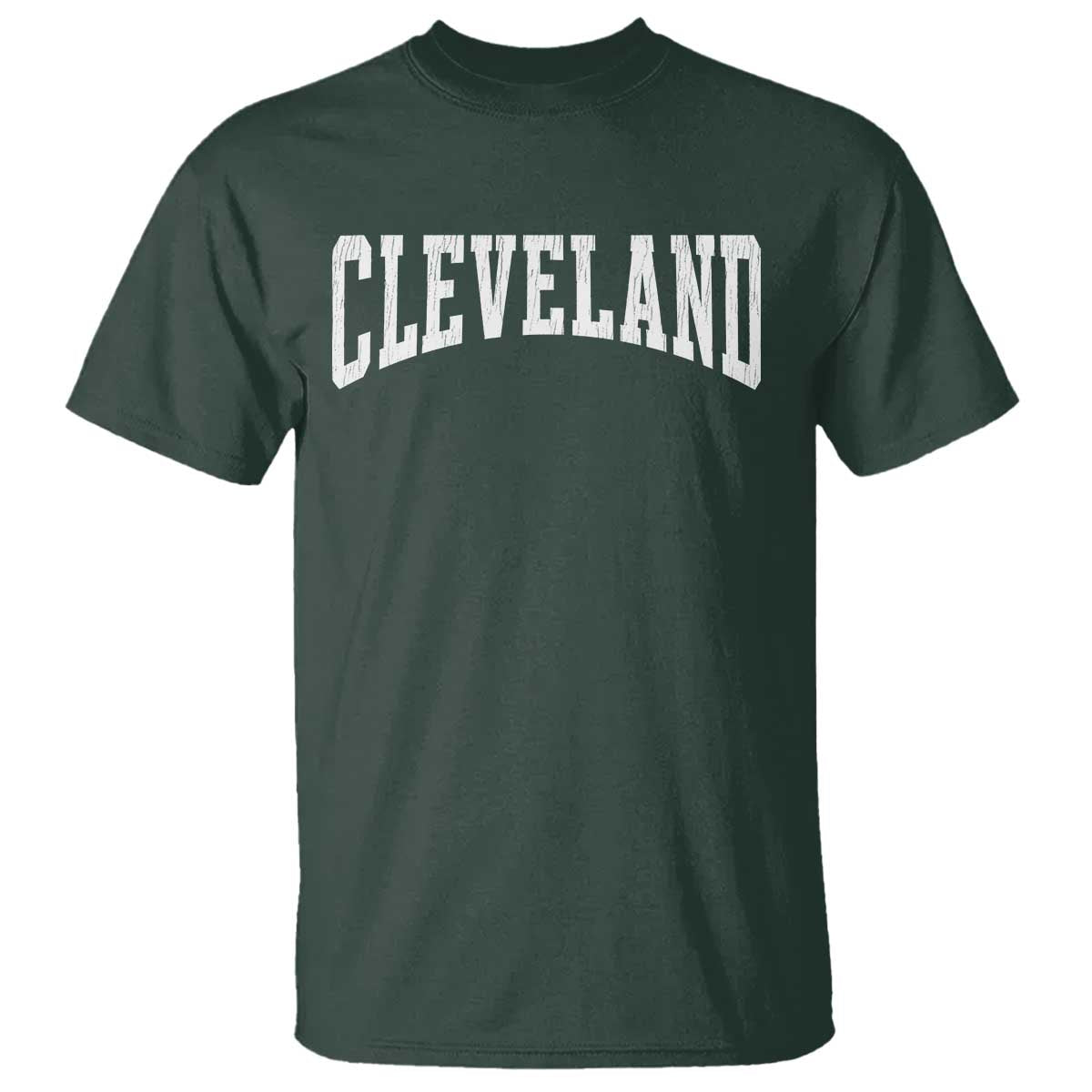 Cleveland Ohio OH City Throwback Design Vintage T Shirt