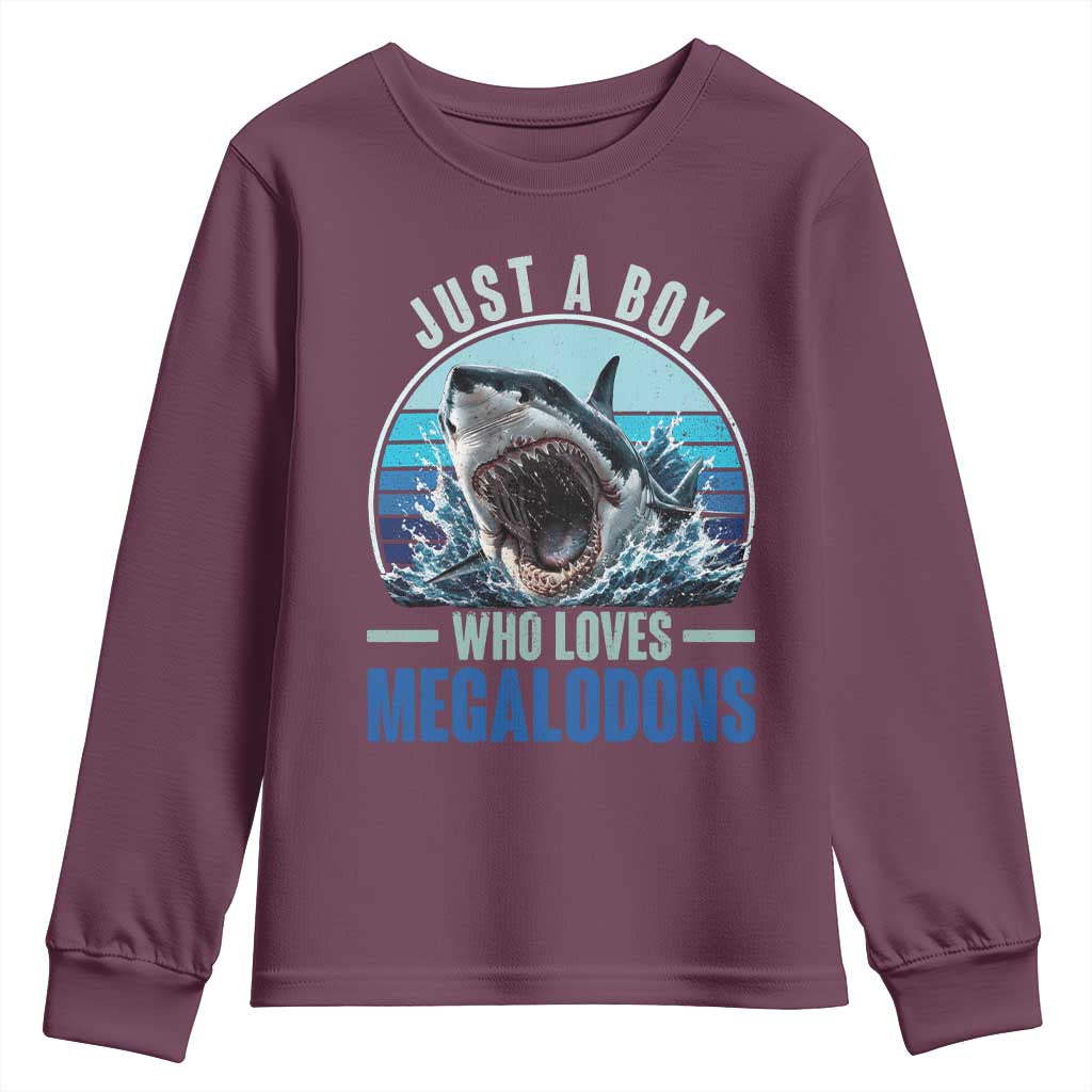 Just A Boy Who Loves Megalodons Youth Sweatshirt Megalodon Shark Lover Retro Graphic