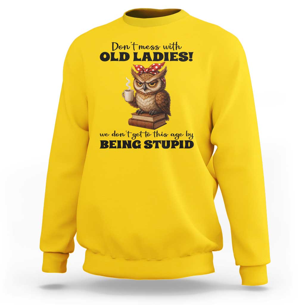 Dont Mess With Old Ladies We Dont Get To This Age By Being Stupid Sweatshirt Cute Owl - Wonder Print Shop