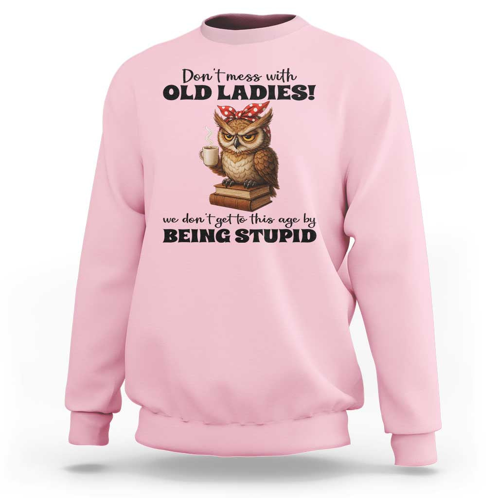 Dont Mess With Old Ladies We Dont Get To This Age By Being Stupid Sweatshirt Cute Owl - Wonder Print Shop