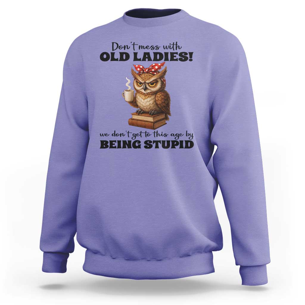 Dont Mess With Old Ladies We Dont Get To This Age By Being Stupid Sweatshirt Cute Owl - Wonder Print Shop