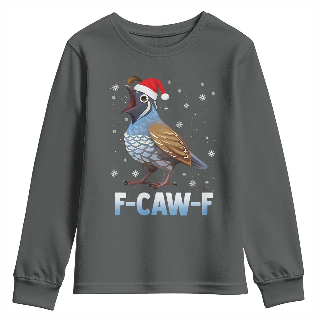 Funny F Caw F Quail Christmas Youth Sweatshirt Cartoon Quail Bird Santa Hat Poultry Humor - Wonder Print Shop