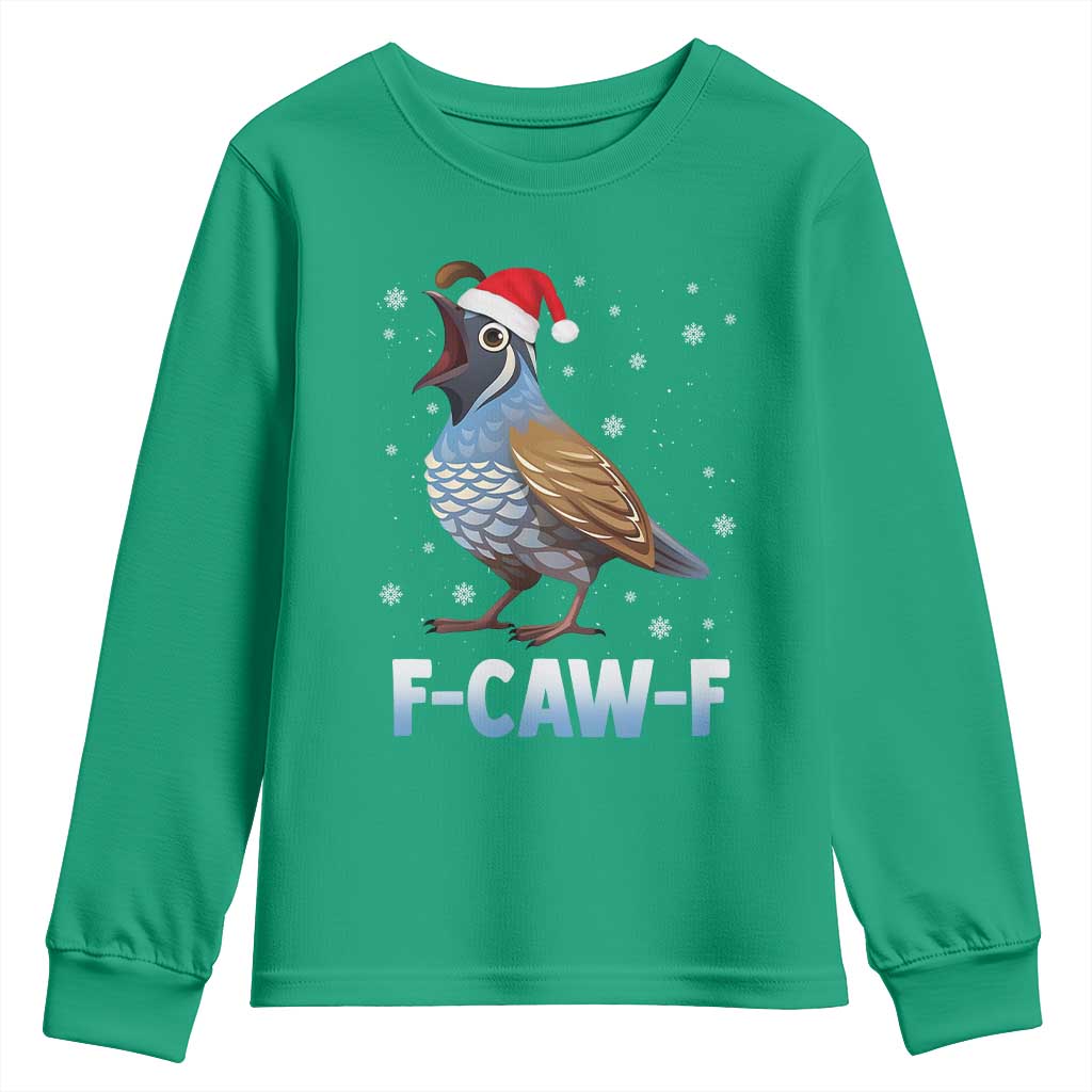 Funny F Caw F Quail Christmas Youth Sweatshirt Cartoon Quail Bird Santa Hat Poultry Humor - Wonder Print Shop