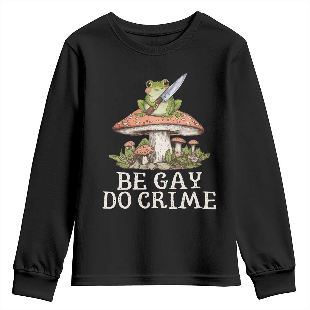 Funny Be Gay Do Crime Youth Sweatshirt LGBTQ Pride Gay Frog