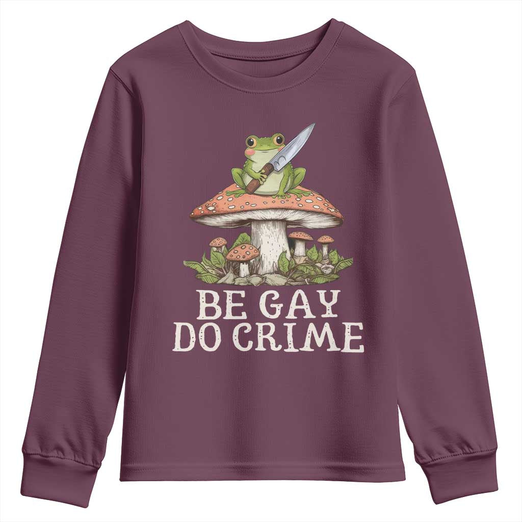 Funny Be Gay Do Crime Youth Sweatshirt LGBTQ Pride Gay Frog
