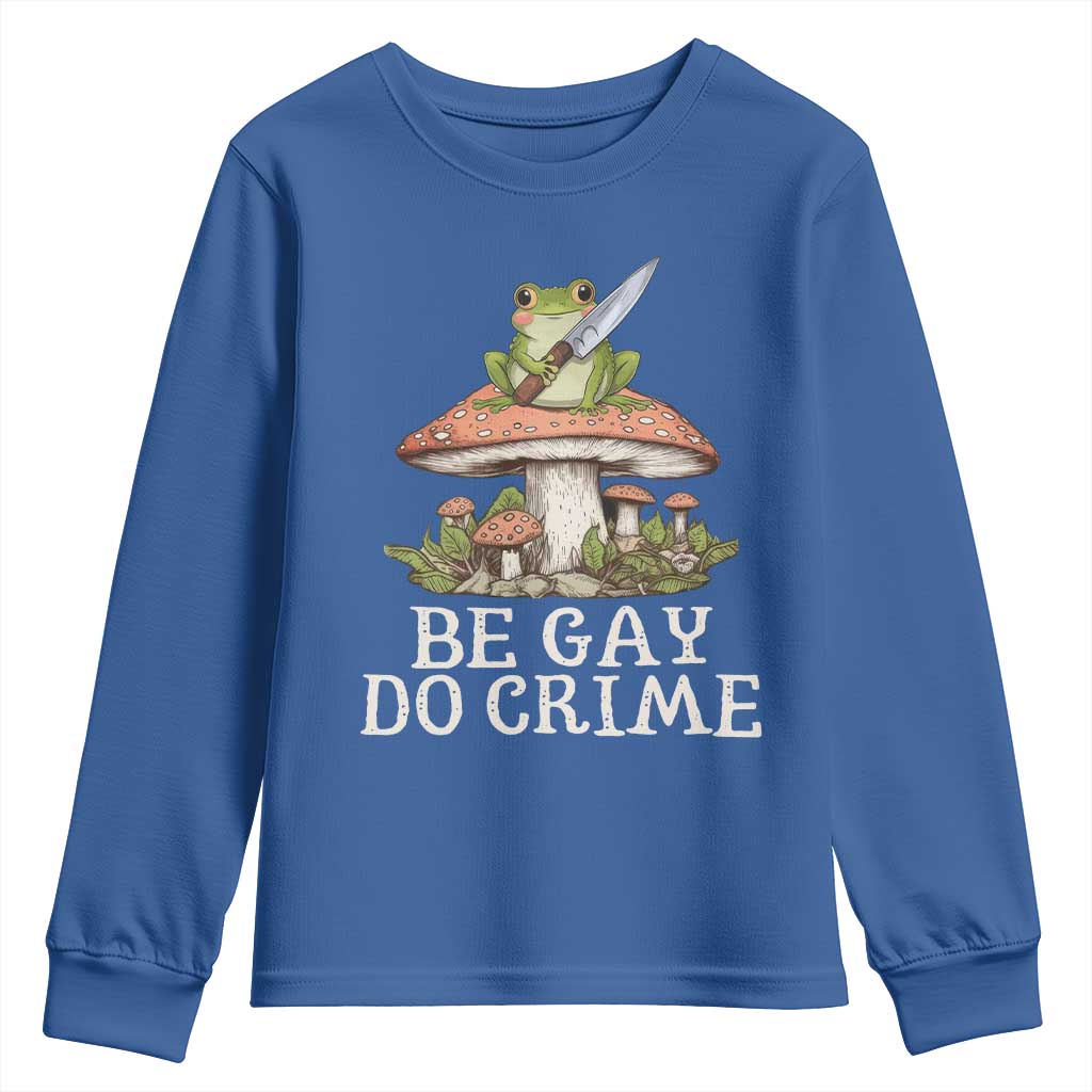 Funny Be Gay Do Crime Youth Sweatshirt LGBTQ Pride Gay Frog