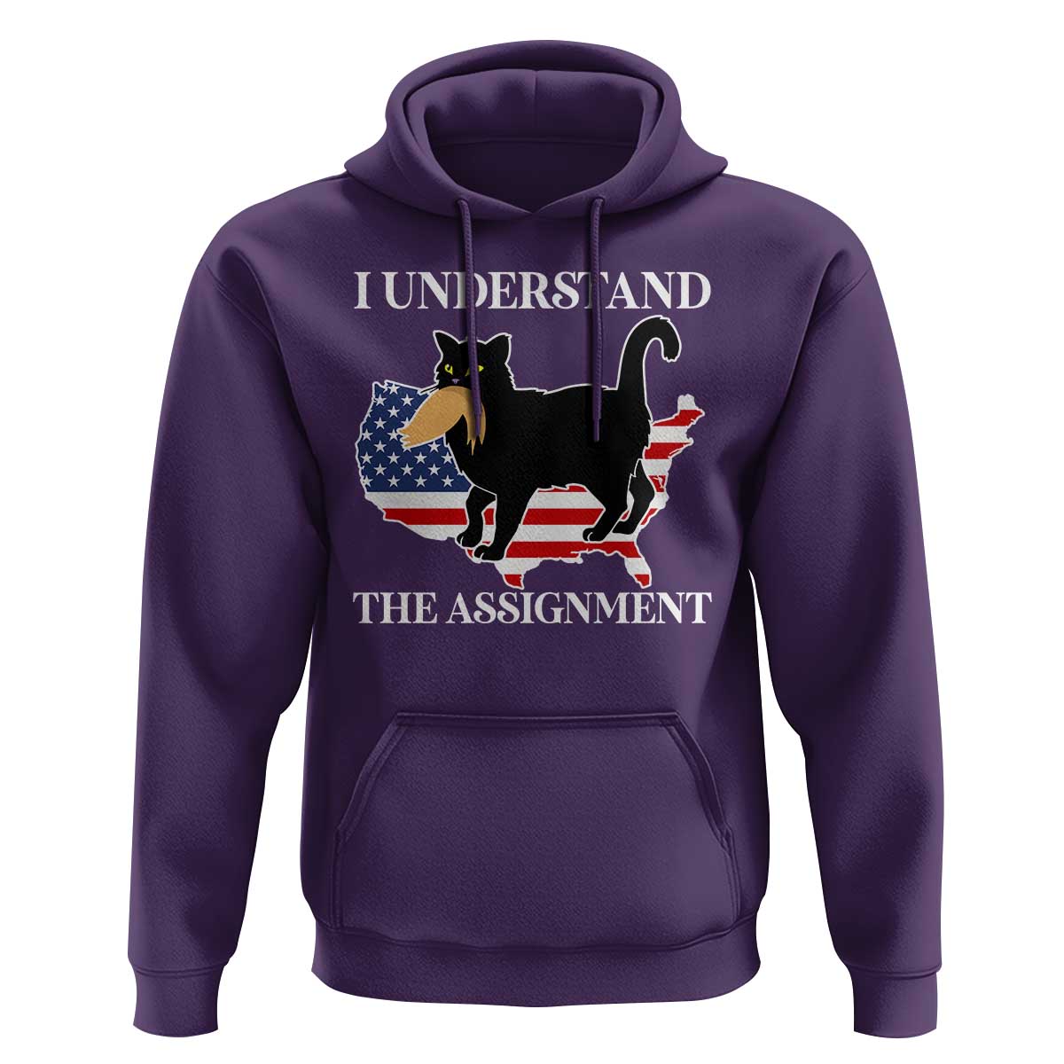 Funny Harris Supporter Hoodie I Understand The Assignment Black Cat American Flag - Wonder Print Shop