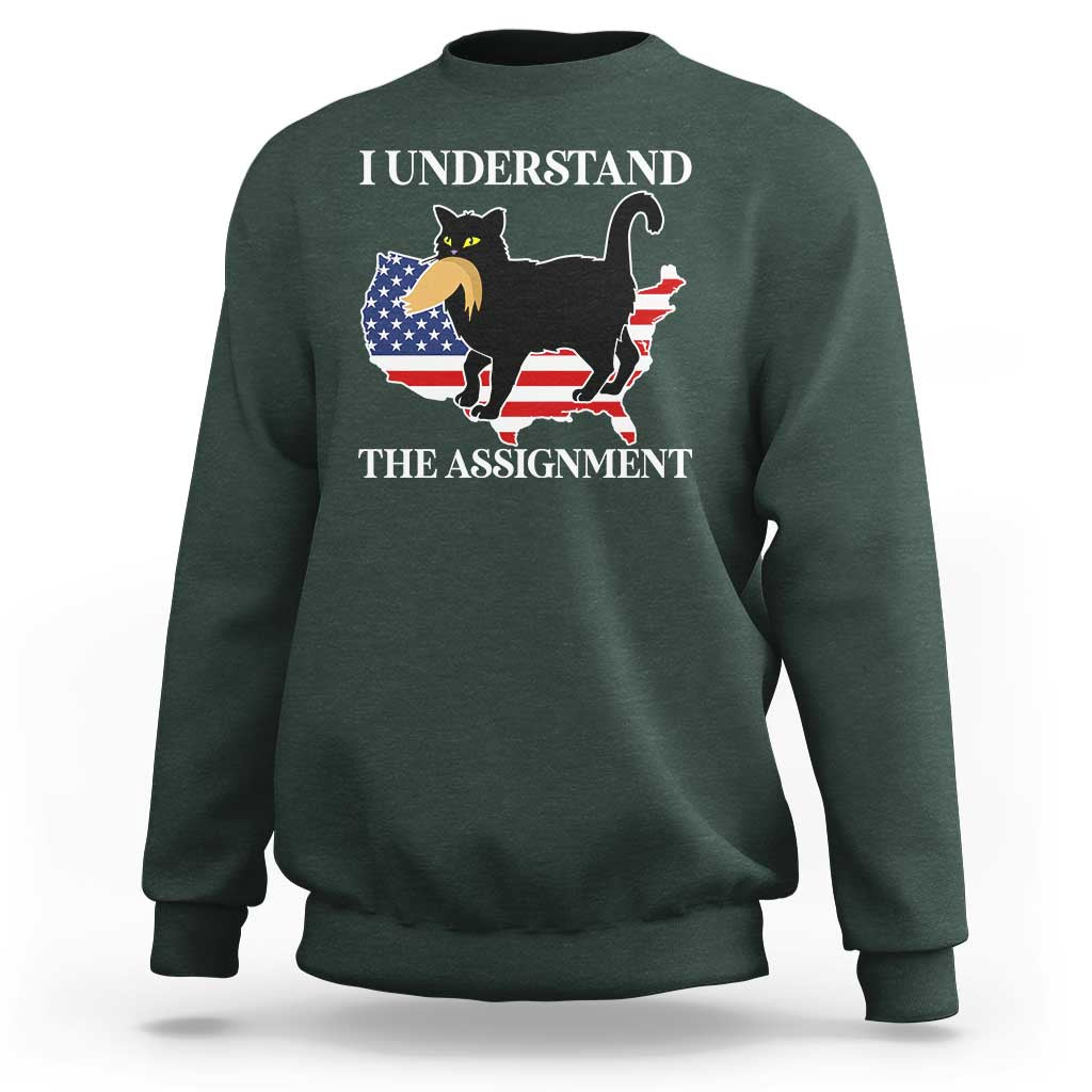 Funny Harris Supporter Sweatshirt I Understand The Assignment Black Cat American Flag - Wonder Print Shop